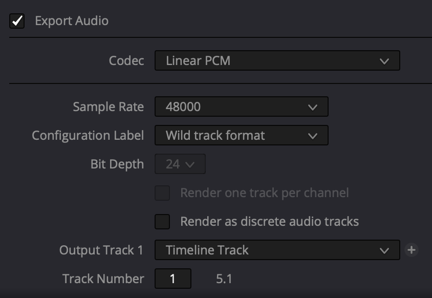 Screenshot audio