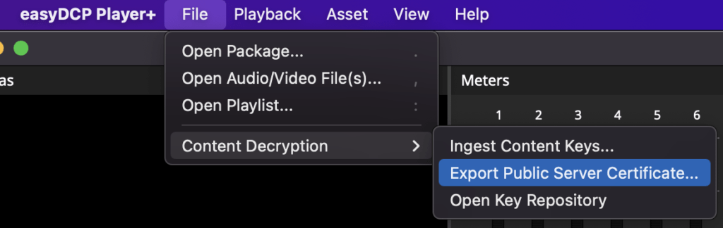 Export Public Server Certificate from Easydcp Player